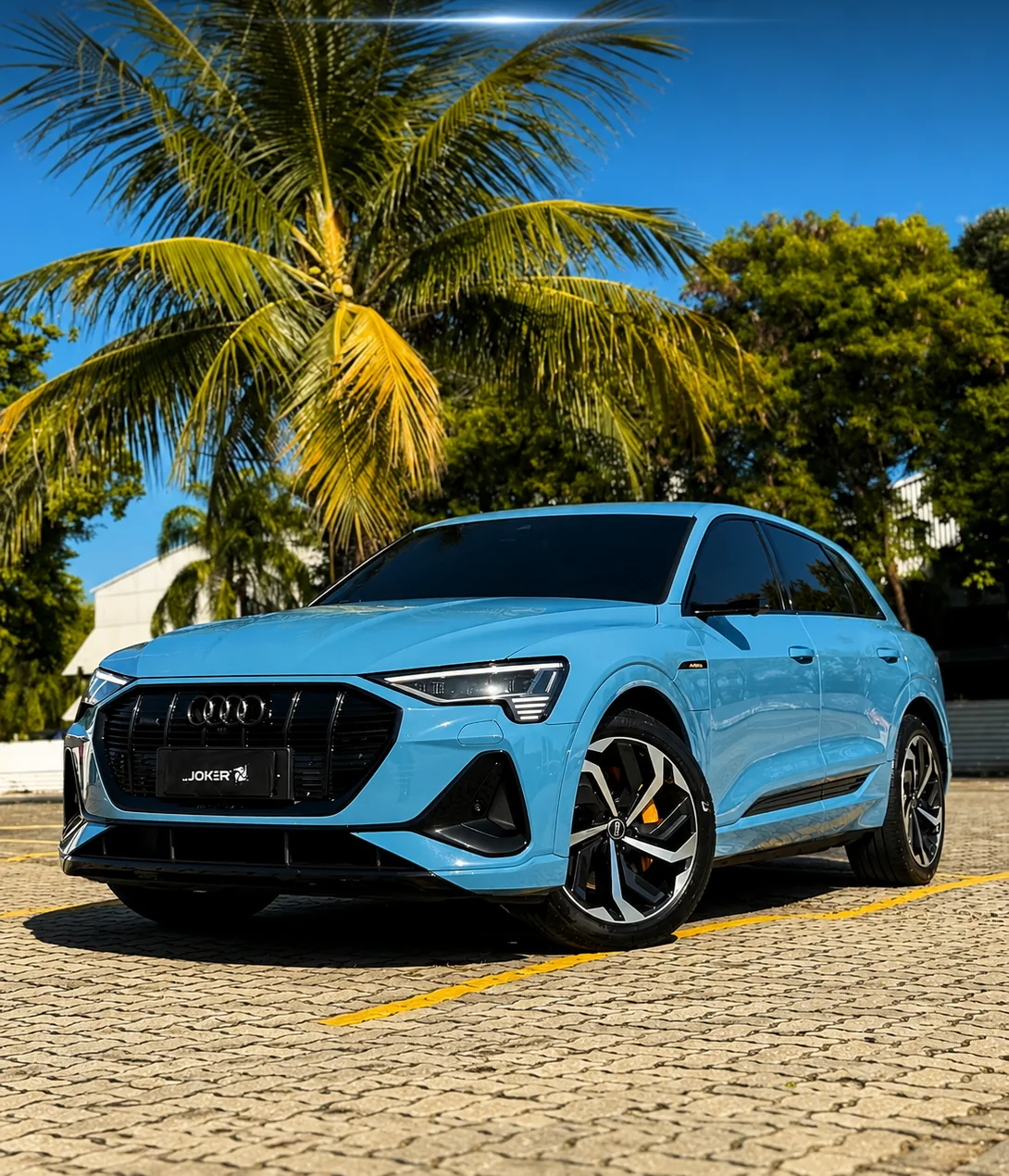 Audi E-Tron · PPF China Blue
